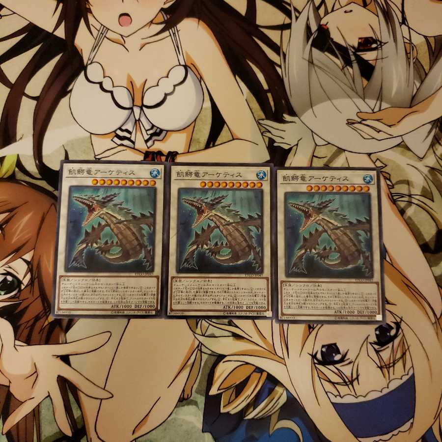 飢鰐竜アーケティス N