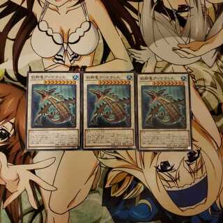 飢鰐竜アーケティス