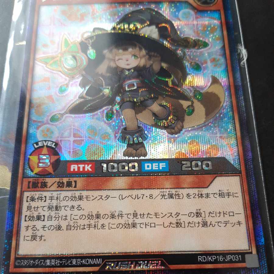 Animagica Witch SE RD/KP16-JP031