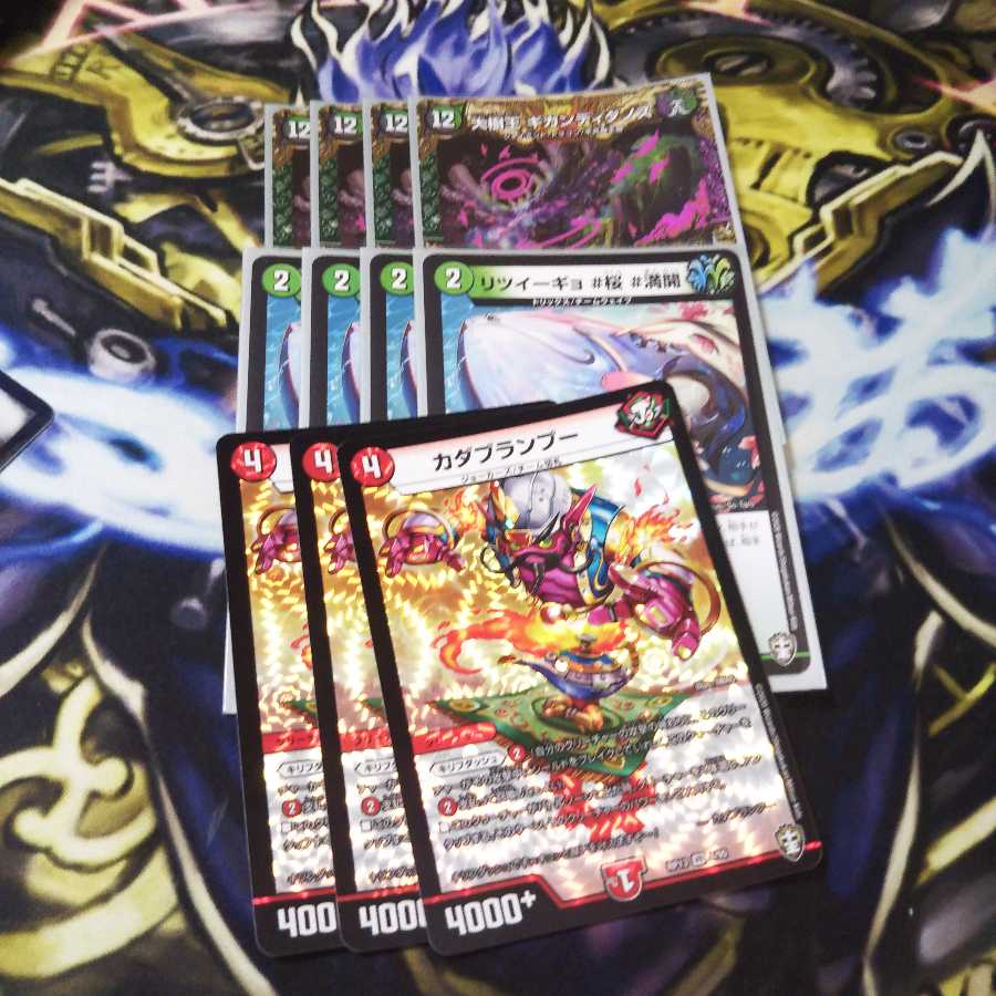 totorio様専用 半引退+ドマンモ龍樹