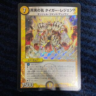 真実の名 タイガー・レジェンド