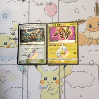 カプコケコ、サンダー マウンテンセット