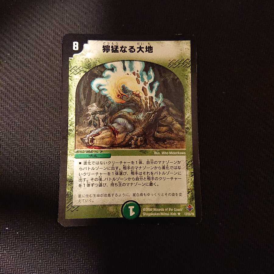 獰猛なる大地 R 12/55/Y6 ジャンク