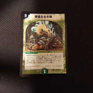 獰猛なる大地 R 12/55/Y6 ジャンク