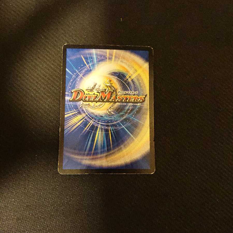 獰猛なる大地 R 12/55/Y6 ジャンク