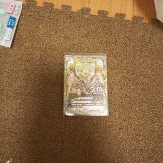 サッヴァークDG SE