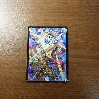 Proten! Ginga MAX R 24/95