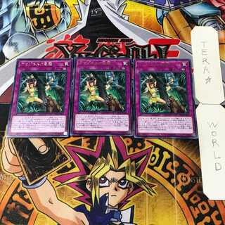 アマゾネスの急襲 5 レア 3枚セット てら