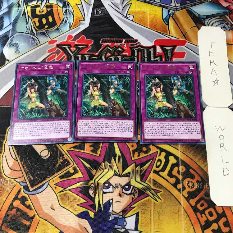 アマゾネスの急襲 6 レア 3枚セット てら