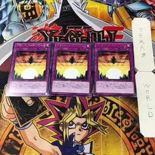 ブラック・バード・クローズ 6 レア 3枚セット てら