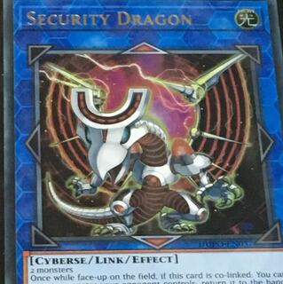 セキュリティ ドラゴン 英語版 eu版