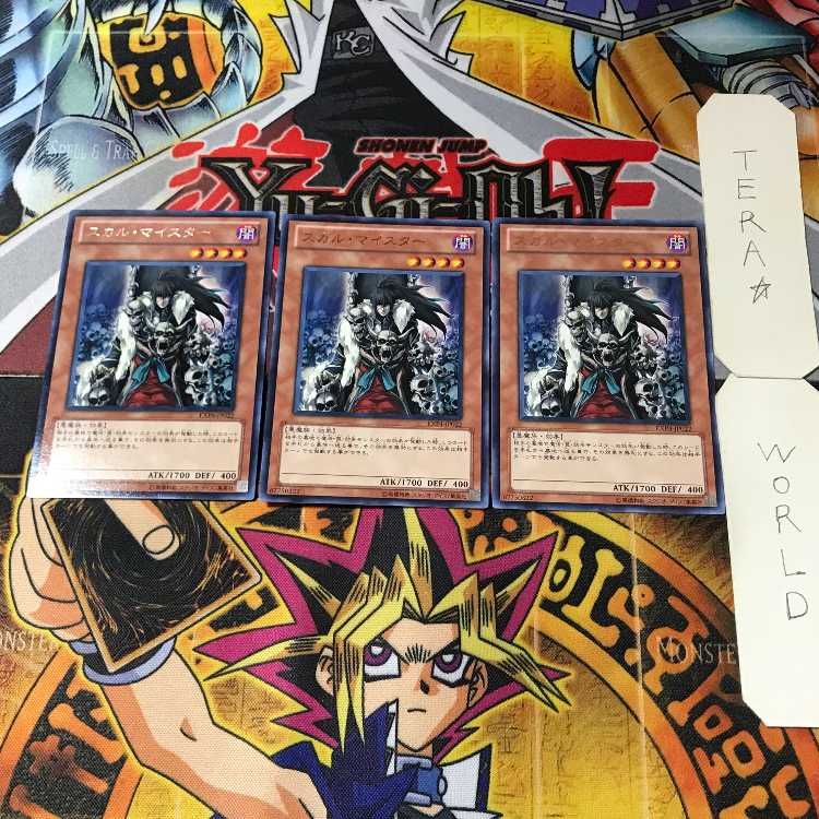 Skull Meister 13 rare, set of 3 tera
