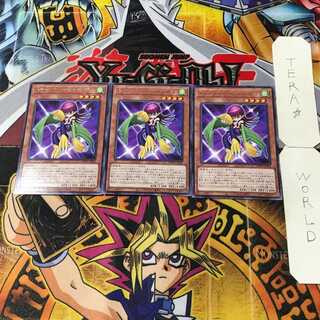 Toon Harpie Lady 2 rare, set of 3 Tera.