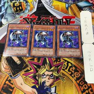 ネクロ・ガードナー 6 レア 3枚セット てら