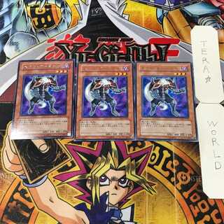 ネクロ・ガードナー 10 レア 3枚セット てら