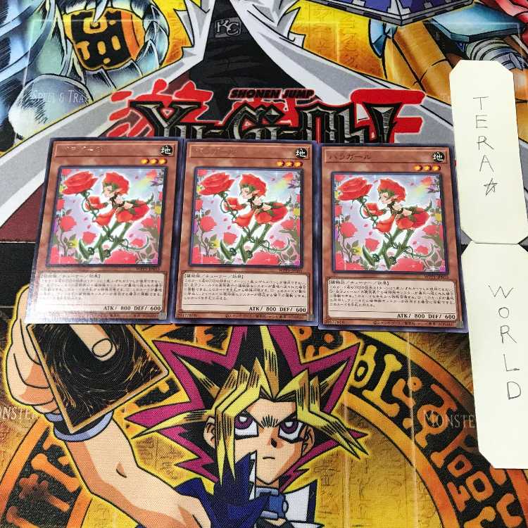 Rose Girl 5 Rare Set of 3 Tera