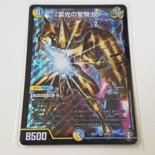 「雷光の聖騎士」