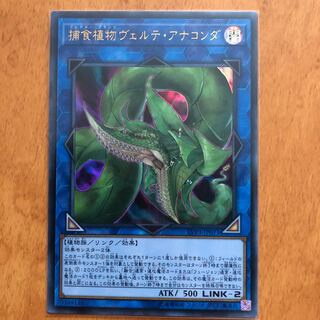 捕食植物ヴェルテ・アナコンダ UR