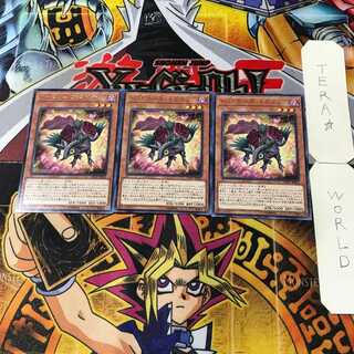 レッドローズ・ドラゴン 9 レア 3枚セット てら