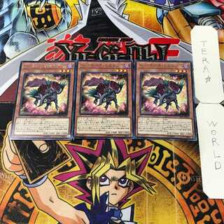 レッドローズ・ドラゴン 14 レア 3枚セット てら