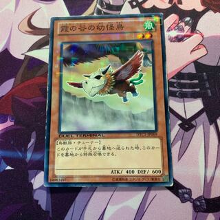 霞の谷の幼怪鳥