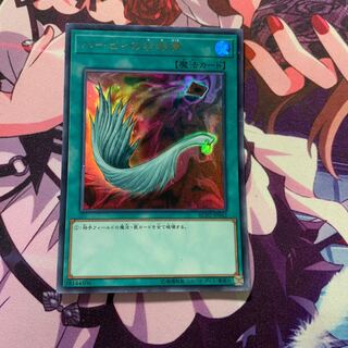 ハーピィの羽根帚 UR