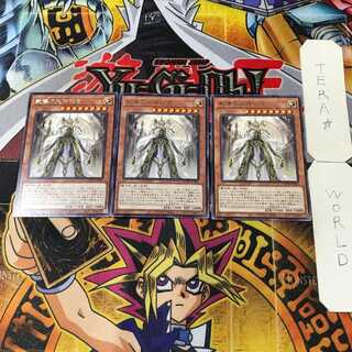 Dogmatika Maximus 9 rare, set of 3 tera