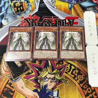 Dogmatika Maximus 10 rare, set of 3 tera