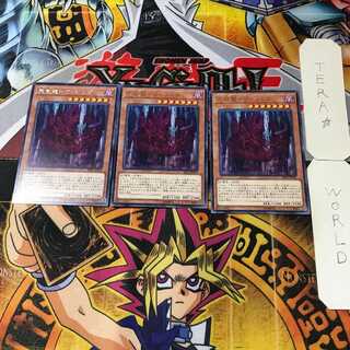 Tenwei Ryu - Vishda 3 rare, set of 3 Tera.