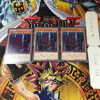 Tenwei Ryu - Vishda 5 rare, set of 3 Tera.