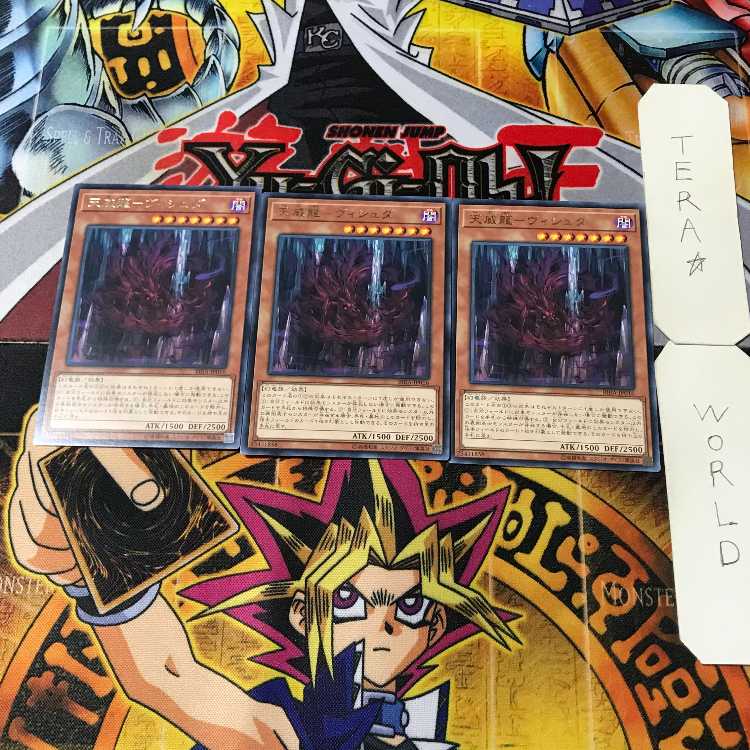 天威龍-ヴィシュダ 14 レア 3枚セット てら