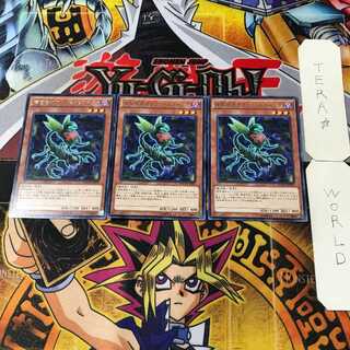 Predaplant Ophrys Scorpio 4 rare, set of 3 Tera.