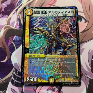 聖霊龍王 アルカディアスD