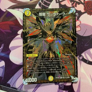 煌龍 サッヴァーク SE