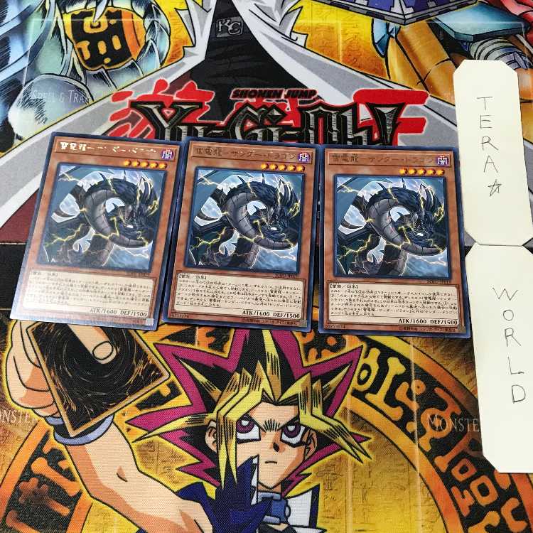 雷電龍-サンダー・ドラゴン 10 レア 3枚セット てら