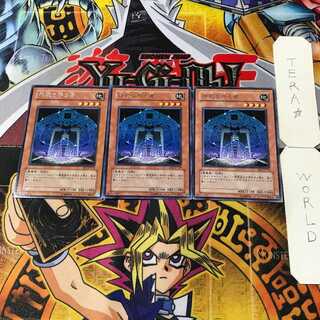 Protector of the Sanctuary 2 rare, set of 3 Tera.