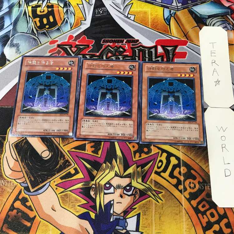 Protector of the Sanctuary 8 rare, set of 3 Tera.