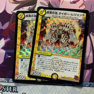 真実の名 タイガー・レジェンド 2枚