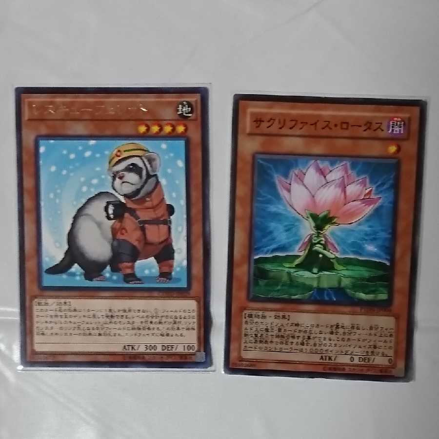 レスキューフェレット +サクリファイス・ロータス セット