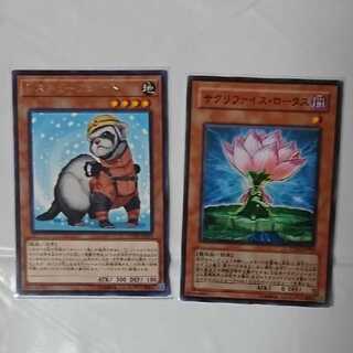 レスキューフェレット +サクリファイス・ロータス セット