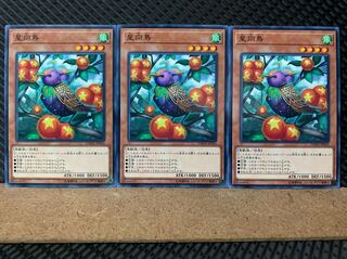 Popotan] Yu-Gi-Oh! 5722 Star Staring Starling 3 Normal