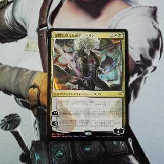 復讐に燃えた血王、ソリン　日本イラスト　foil