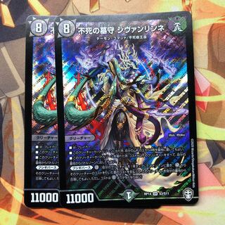 不死の墓守 シヴァンリンネ