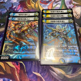 驚愕の鉄人&慈愛の衛生姫