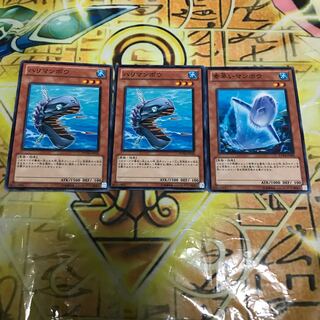 ハリマンボウ　素早いマンボウ