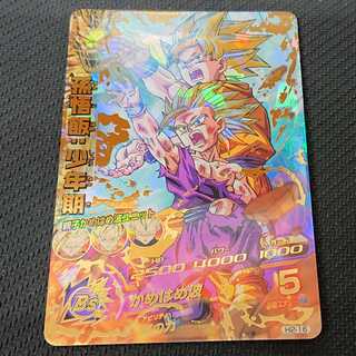 孫悟飯:少年期 H2-16 浪漫遊 【00034-41】