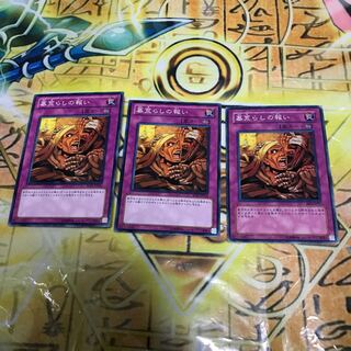 墓荒らしの報い N