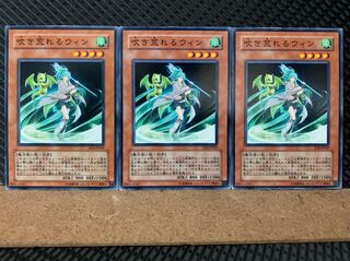 【ぽぽたん】遊戯王 5685 吹き荒れるウィン 3枚 ノーマル