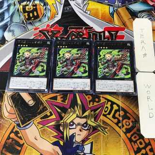 十二獣ワイルドボウ 6 レア 3枚セット てら