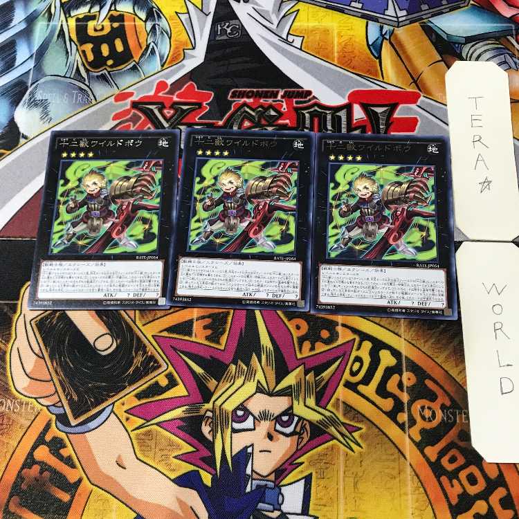 Zoodiac Boarbow 7 rare, set of 3 Tera.